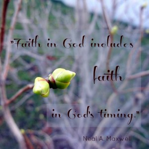 Mormon Quote