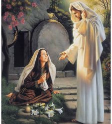 Jésus-Christ et la noblesse des femmes