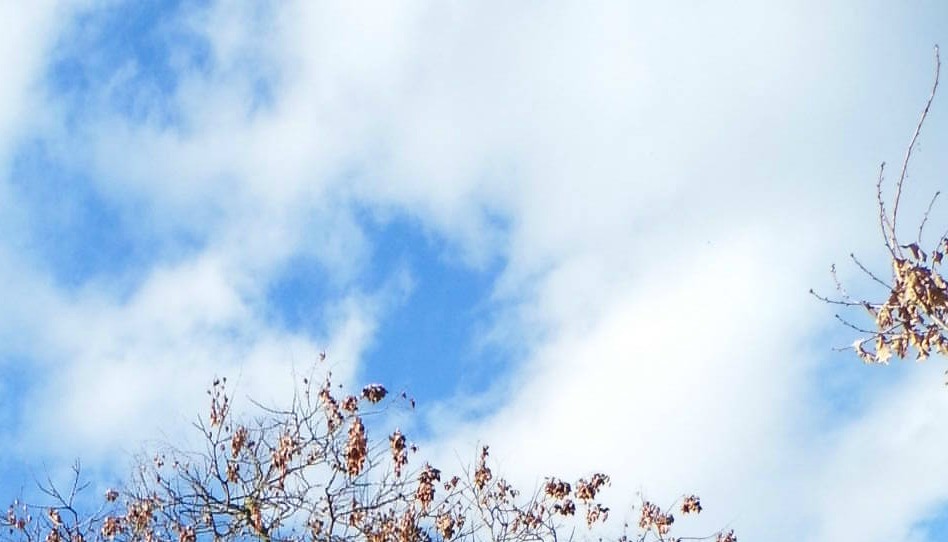 Le don du Saint-Esprit : Comment comprendre le don du Saint-Esprit