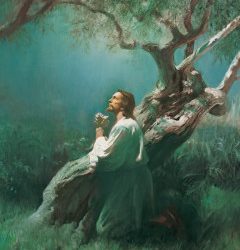Jésus-Christ : L’incroyable Expiation