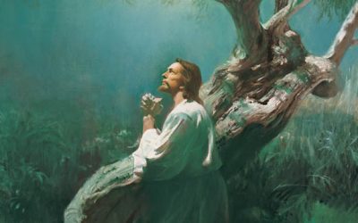 Les Mormons Croient-ils à la Grâce?