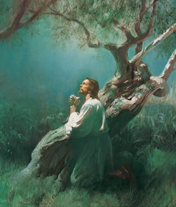 Les Mormons Croient-ils à la Grâce?