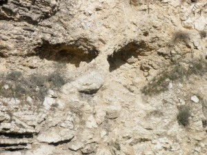 Réflexions sur le Christ au Jardin de la Tombe