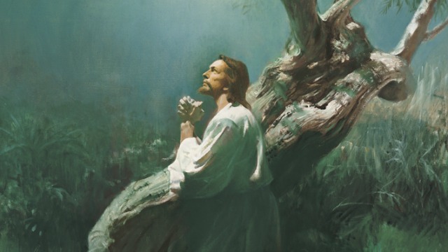 Jésus prie dans le jardin de Gethsémanie