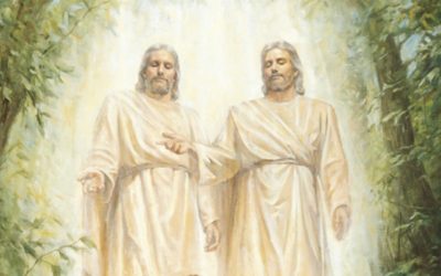 5 récits étonnants de prophètes et apôtres qui ont vu le Christ sur terre